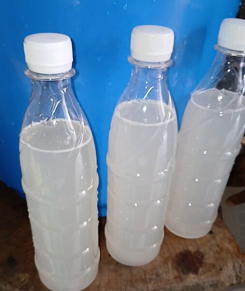 Bandji (vin de palme)