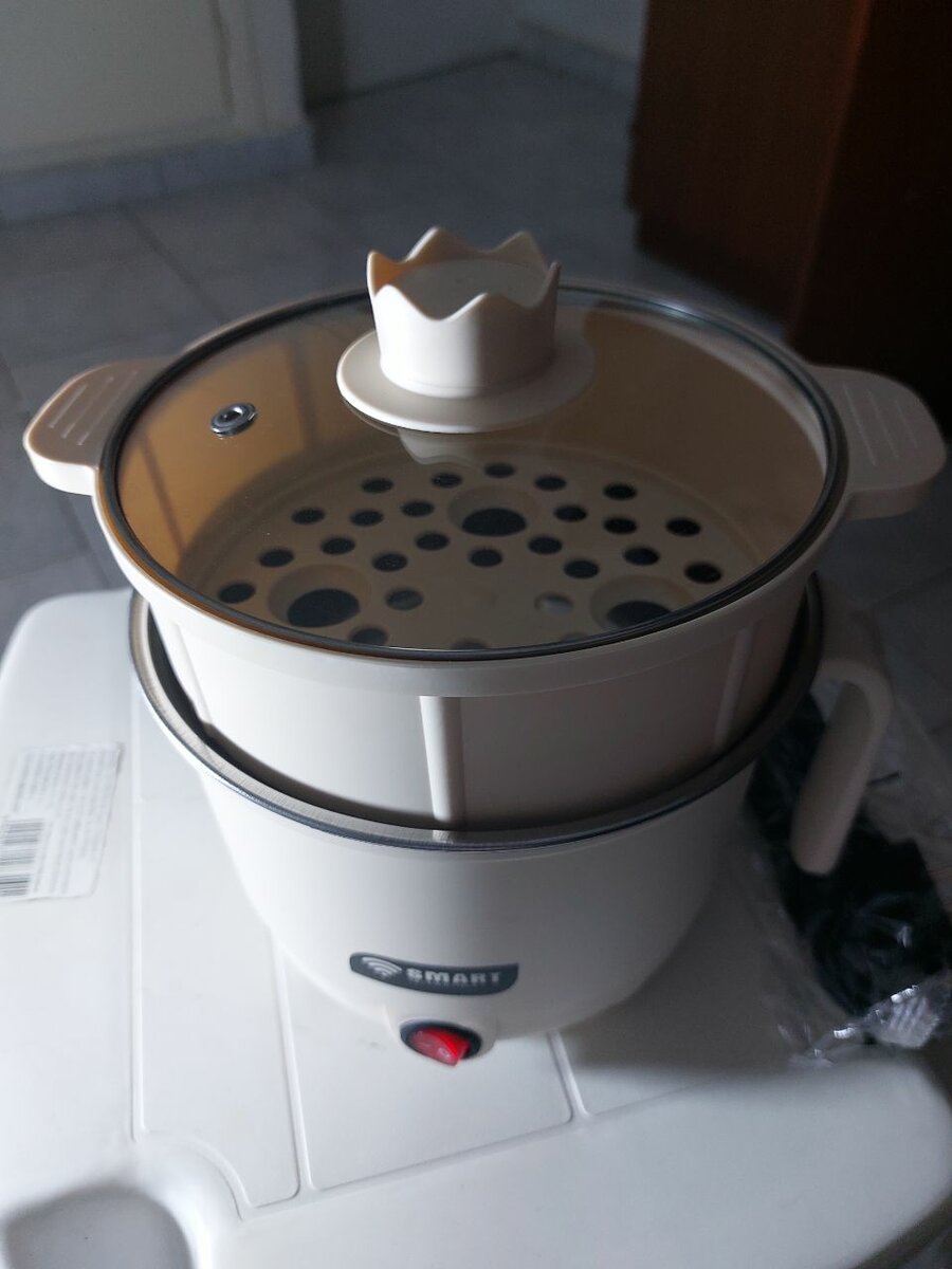 Cuiseur Vapeur Électrique 2L