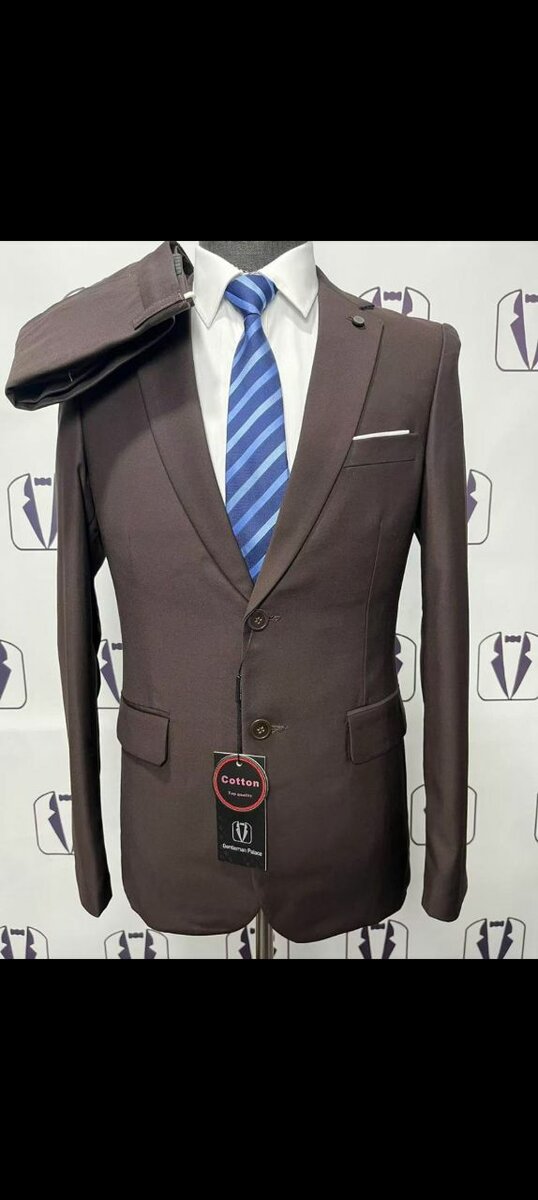 Costume élégant pour hommes