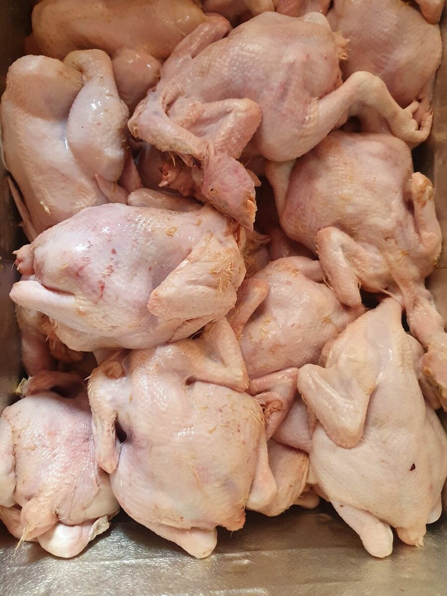 Poulet entier frais
