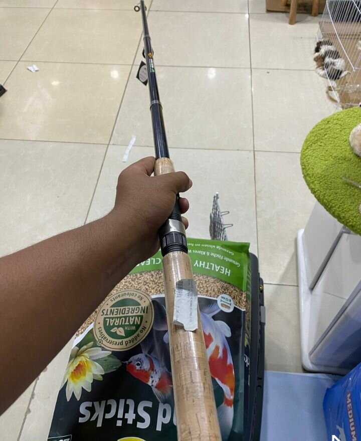 Canne à pêche télescopique