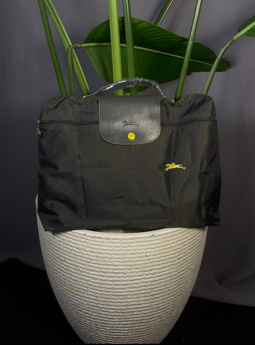 Sac longchamp le pliage homme