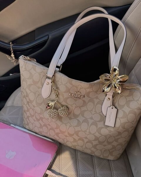 Fiona coach & 1 charms