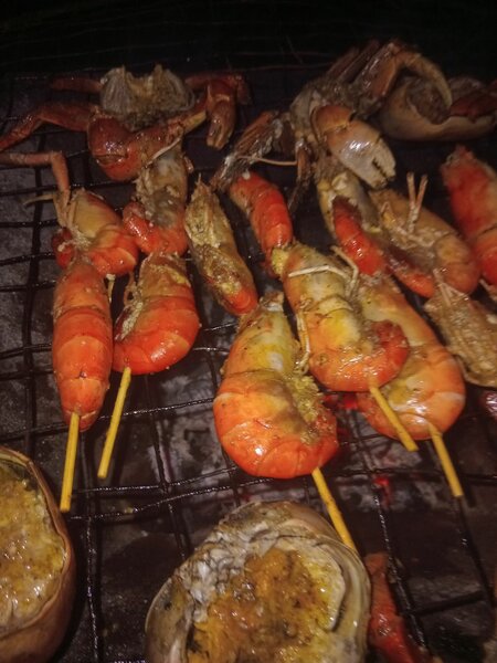 Écrevisses braisés savoureuses