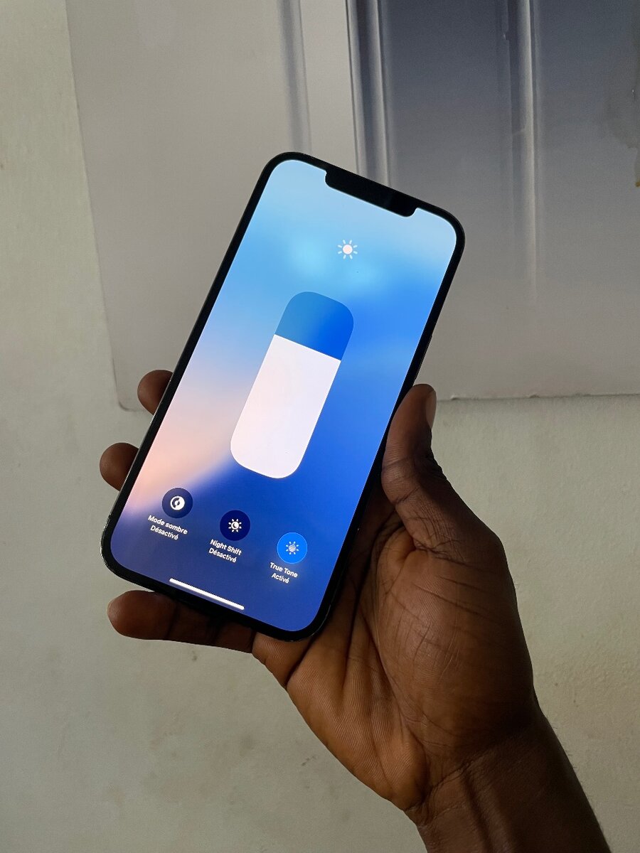 12 Pro Max 128Go sans Face ID