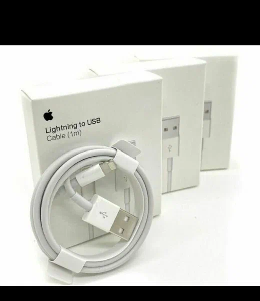 Câble Lightning vers USB 1m