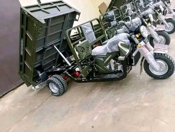 Moto-tricycle utilitaire robuste