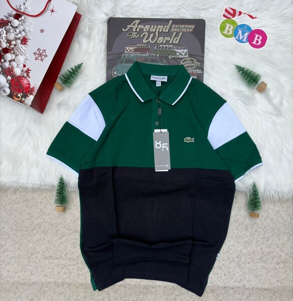 Polo pour Homme Vert et Noir