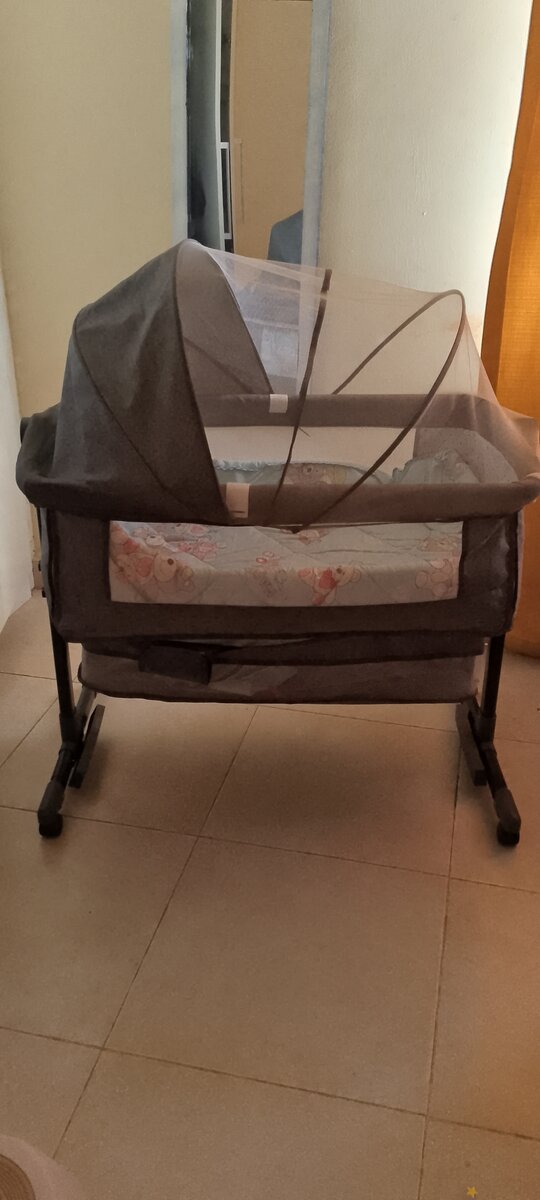 Bassinet and Rocker for sell ( comes with free bed net)