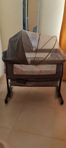Bassinet and Rocker for sell ( comes with free bed net)