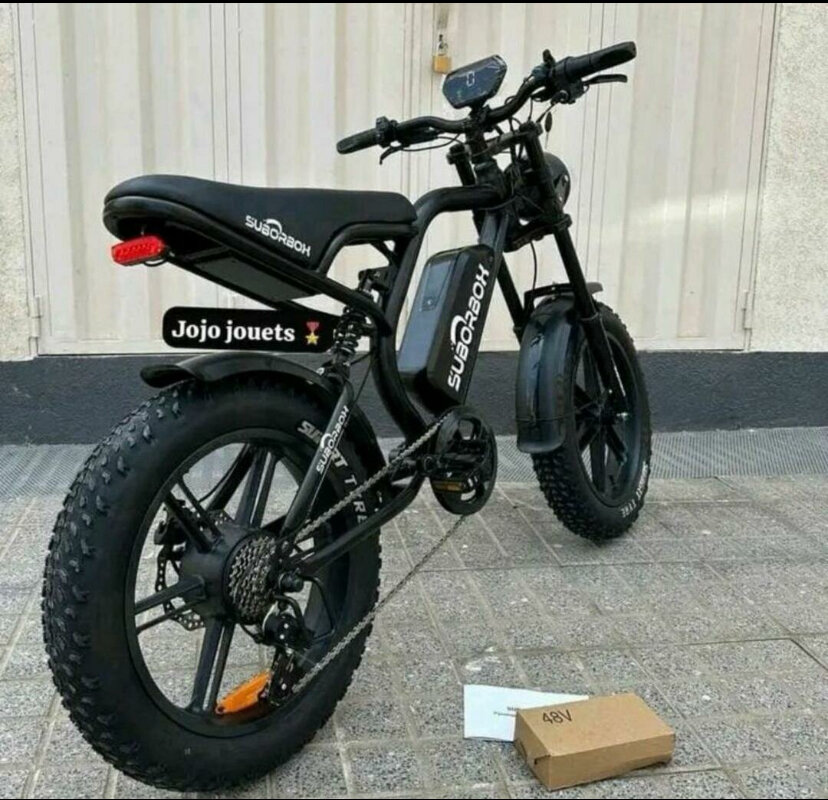 Vélo électrique robuste 48V