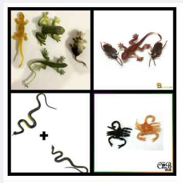 Pack Of 12- Kids Cockroach, Lizard, snake, rabit, mouse, frog & hargali - Rubber