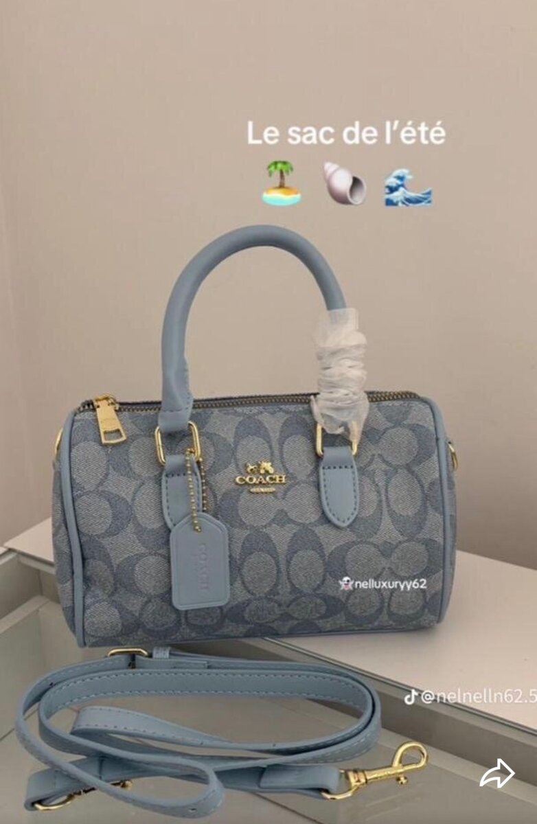 Sac à main en cuir Coach