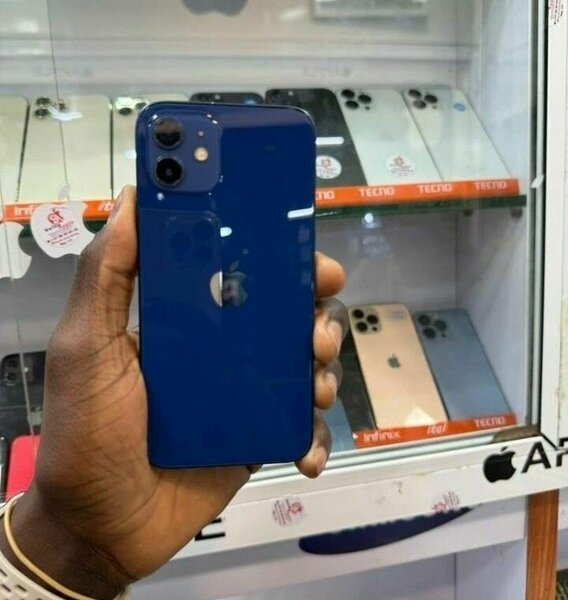 iPhone 12 Bleu