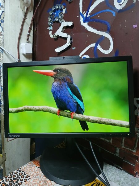 Écran Lenovo FullHD 22''(HDMI