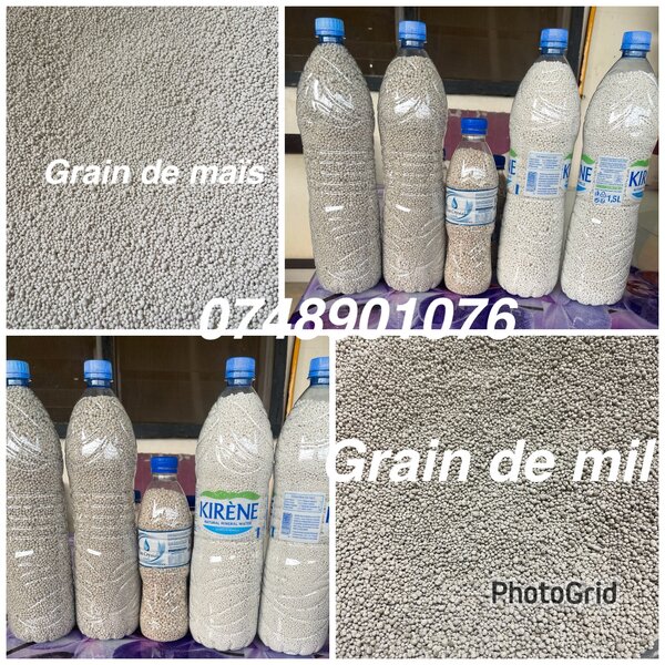 Granulés de mil ,maïs.