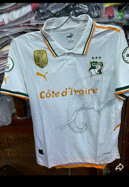 Maillot Côte d'Ivoire Puma