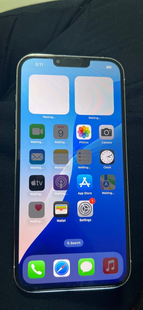 Apple iPhone 13 Pro Max