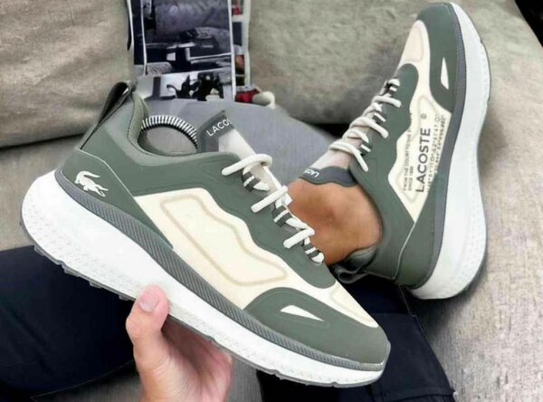 Chaussure Lacoste vert beige