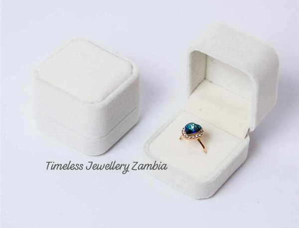 Ringbox/Ring Case