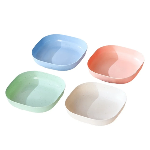 10 Assiettes plastiques 3500F