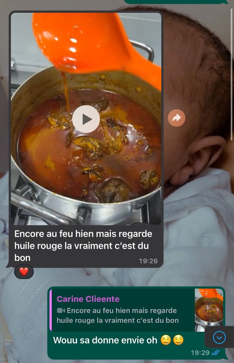 Concentré de graine