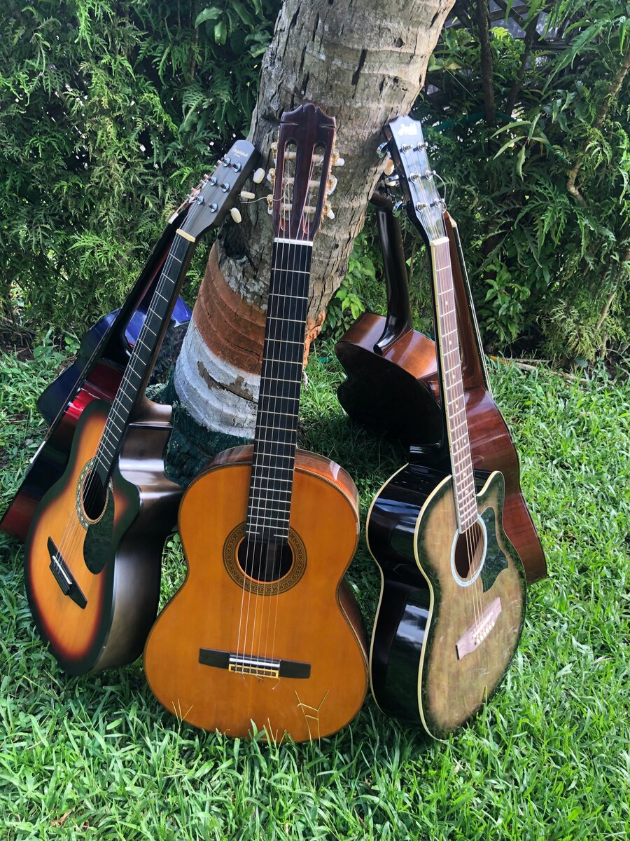 Guitare classique et acoustiqu
