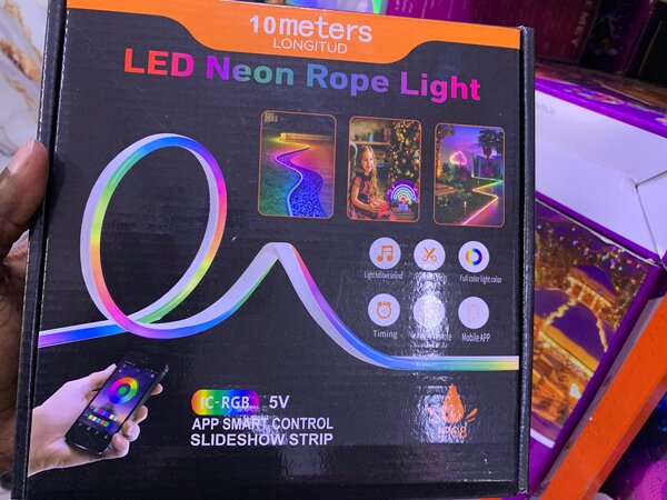 Guirlande Néon LED 10m