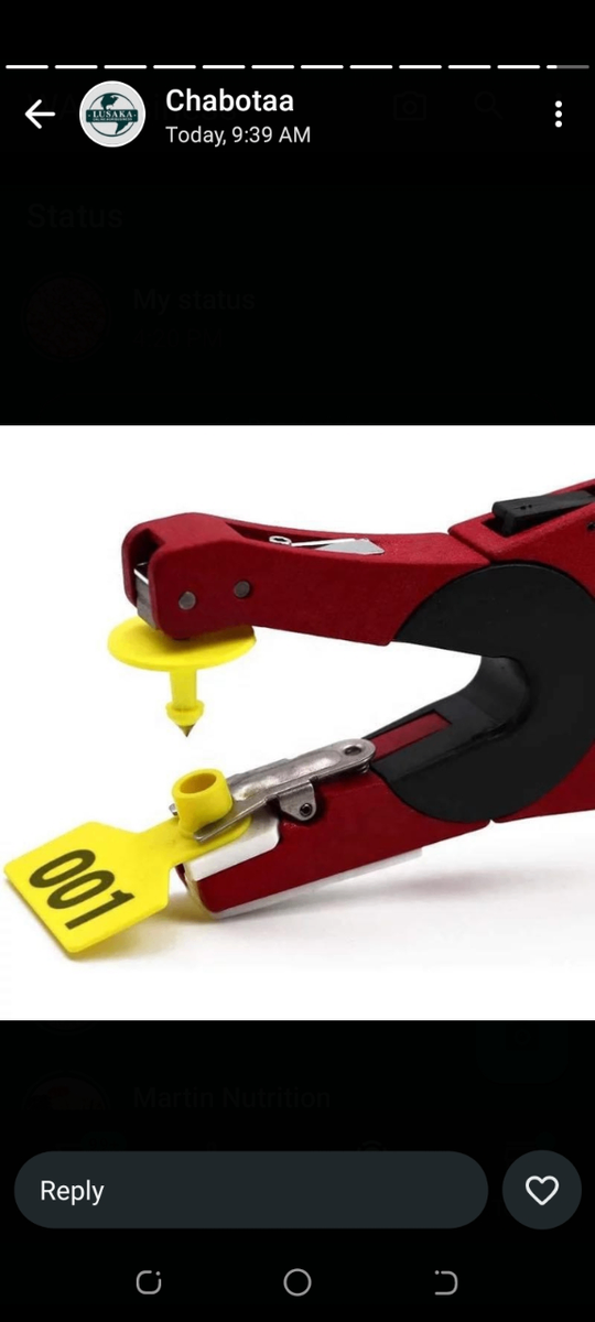 Vegetables seedlings,Ear Tag Applicators,Ear Tag's,