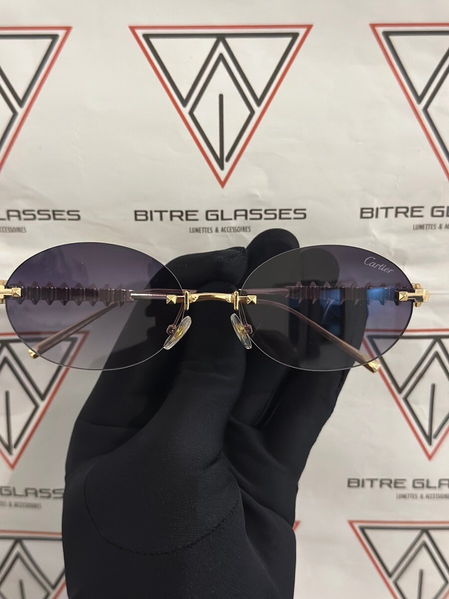 Lunettes de soleil élégantes