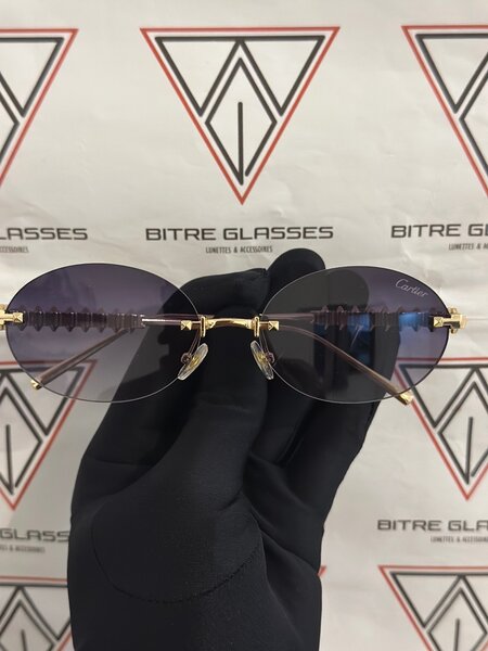Lunettes de soleil élégantes