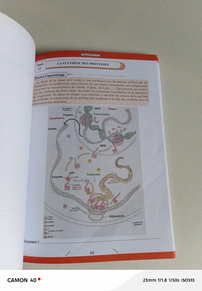 Livre SVT 1ère Manuel Scolaire