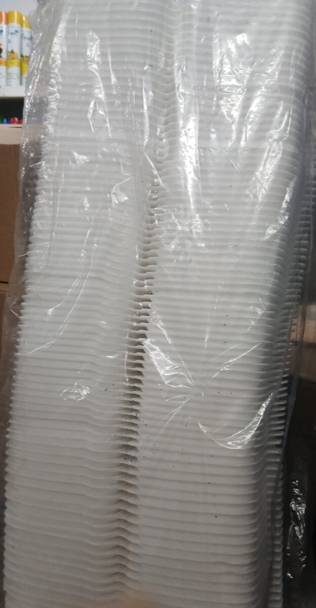 Assiettes jetables ×100