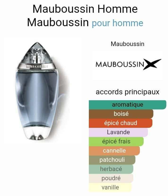 Parfum Mauboussin Homme 100ml