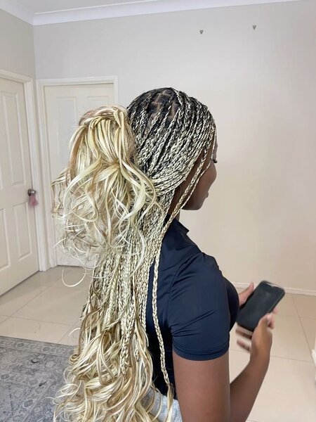 French curlsL24 #613(5paquets)