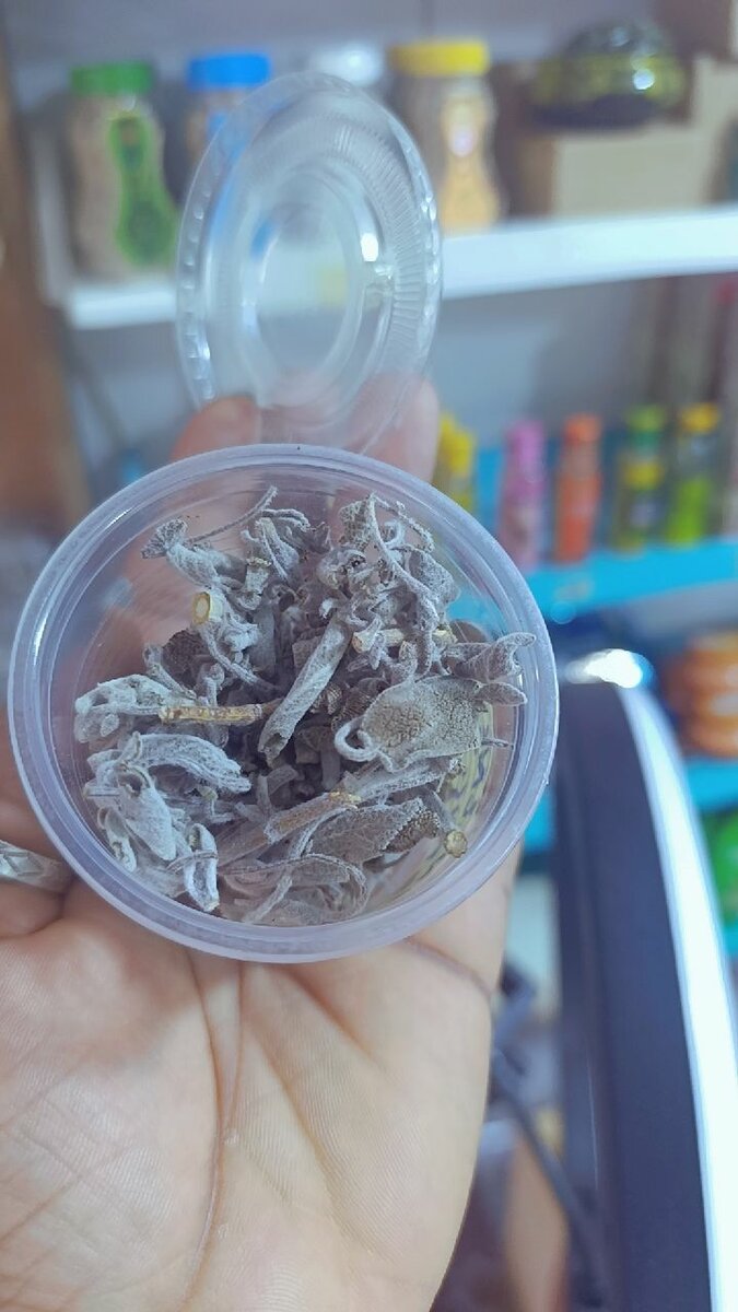 Encens Saint Michel, combat,..