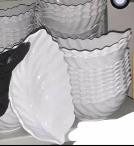 Assiette polyvalente