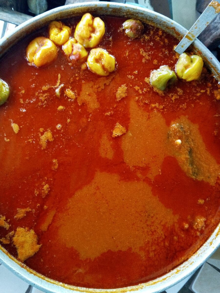 Riz  sauces tomates sauce feil