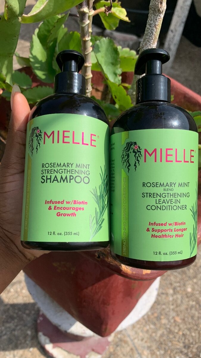 Mielle shampoo and leave in conditioner