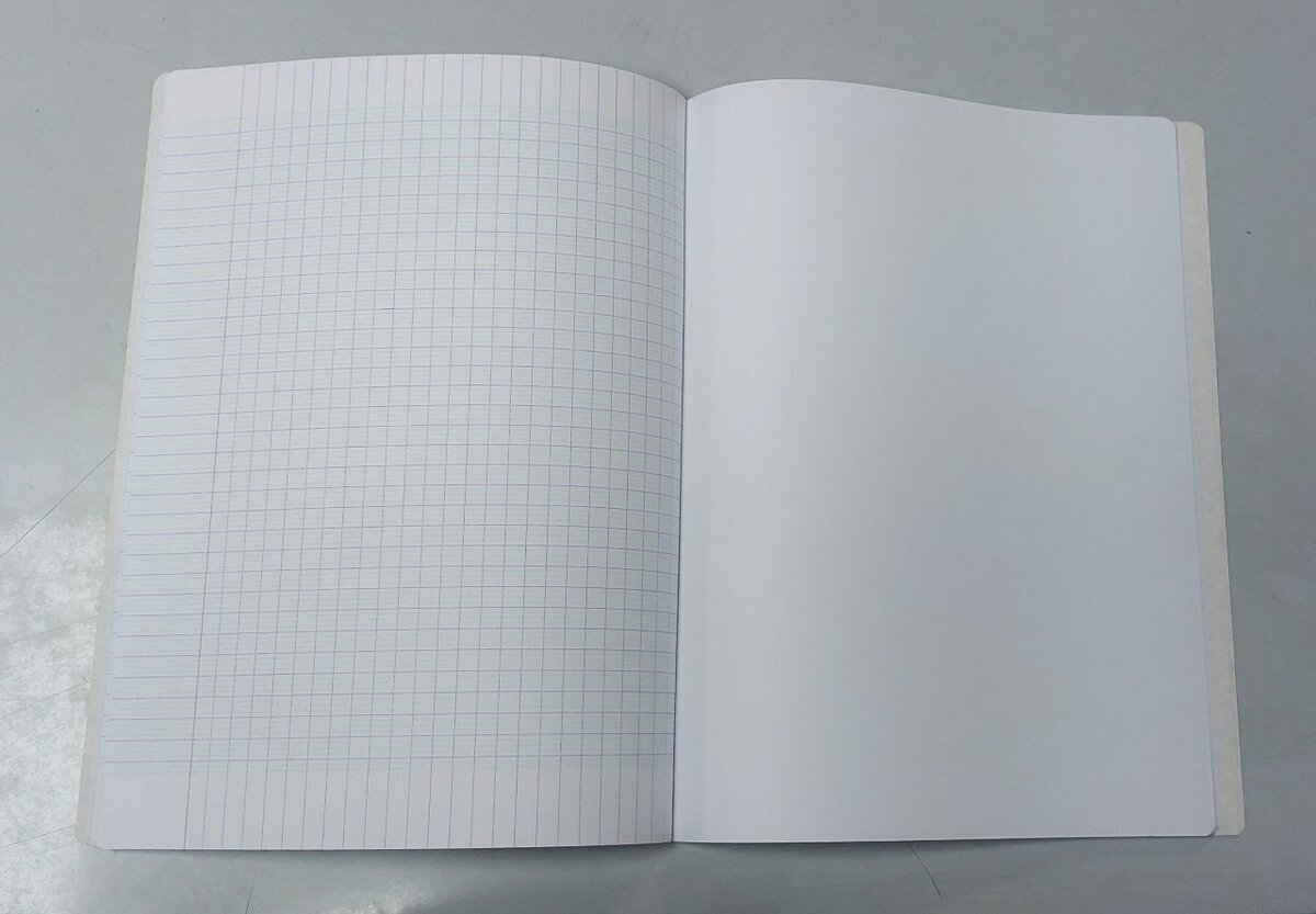 Cahier Privilège Tp 80 Pages