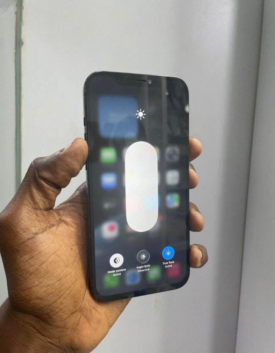 iPhone 12 Pro Max 256GB Bleu