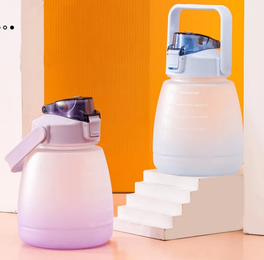 Bouteille d'eau isolée 1L