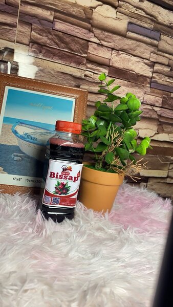 Jus de Citron et Bissap