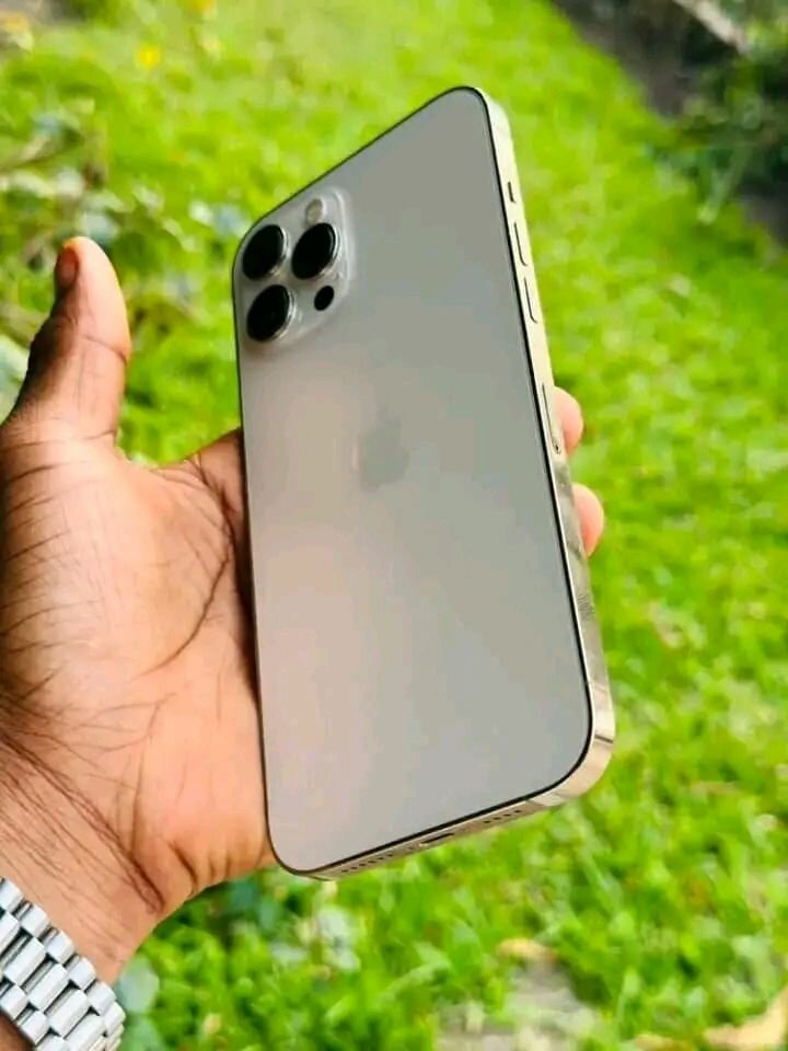 iPhone 13 Pro Max Argent