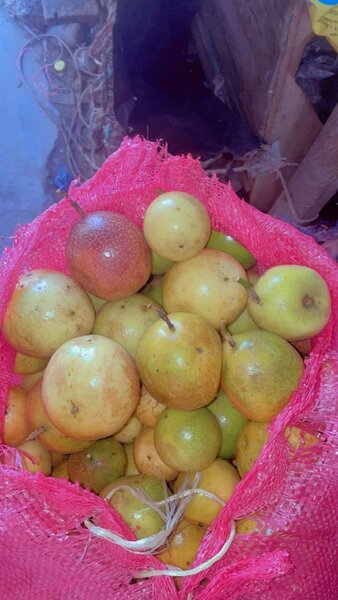 Fruits de passion 4kilos