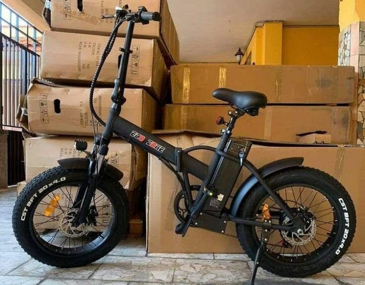 Vélo électrique tout-terrain pliant