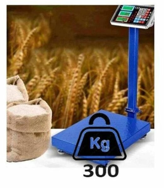 Balance numérique portable 300kg