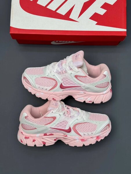 Nike Baskets Rose Femme