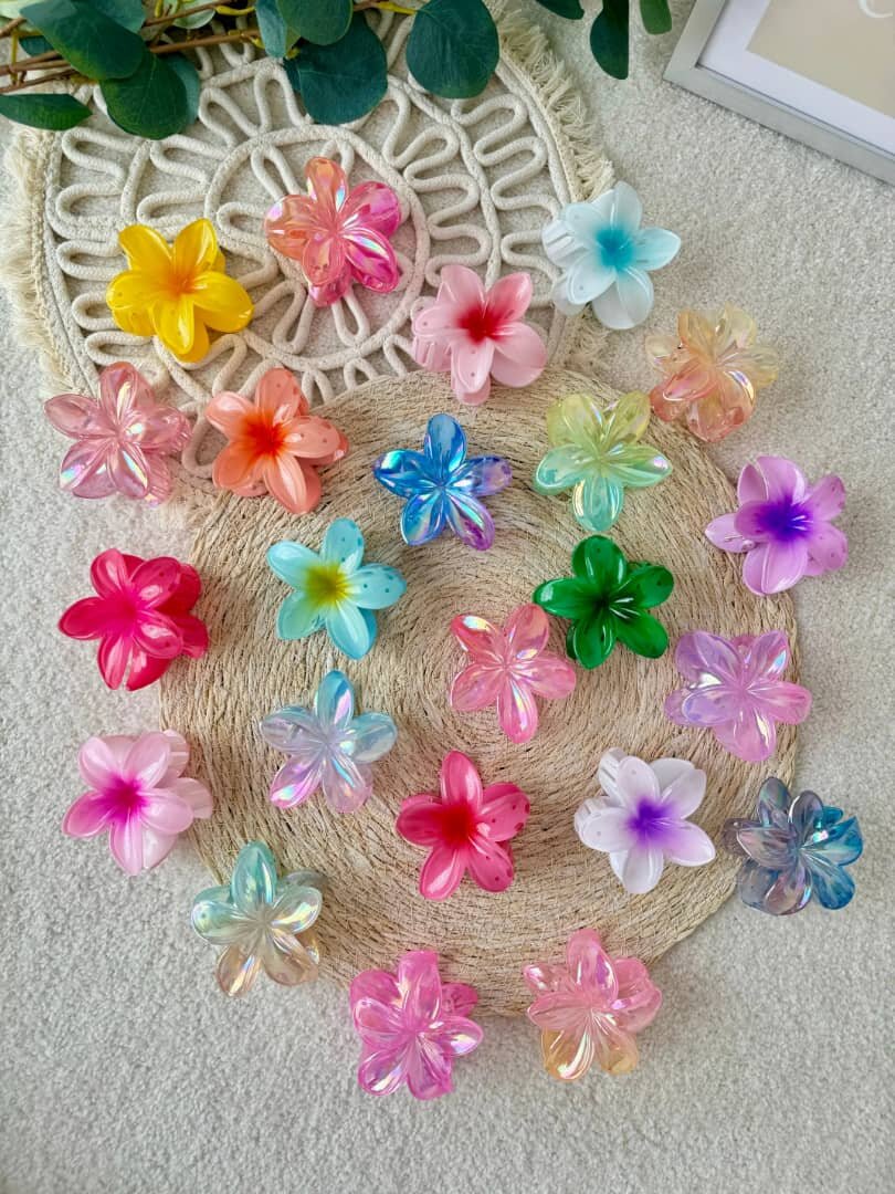 Pinces à cheveux fleurs colorées