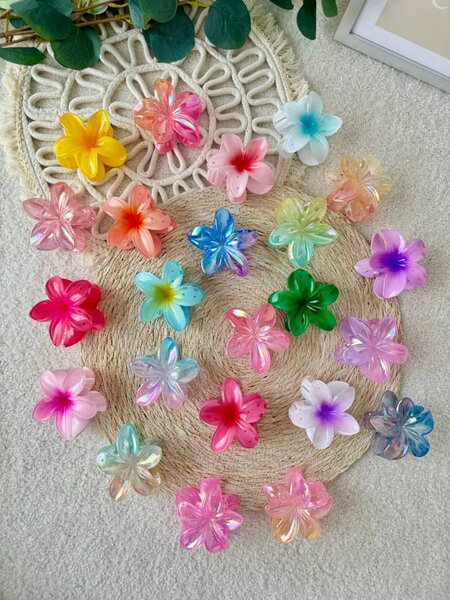 Pinces à cheveux fleurs colorées